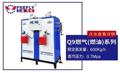 燃油燃气锅炉高效运行与安全维护指南